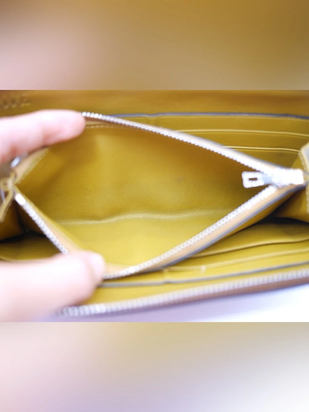 🍓LOEWE Wallet
